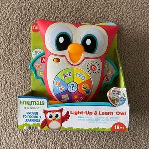 NEW Baby Owl Learn Toy Fisher-Price